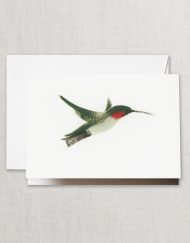 Brushstroke Hummingbird Note