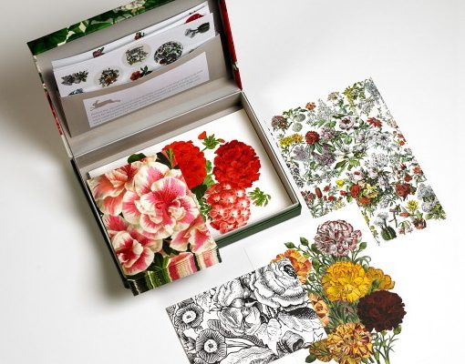 Pepin Letter Writing Set Flower Prints