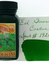 NOODLERS INK EEL GRUENE CACTUS