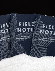 FIELD NOTES SNOWY EVENING