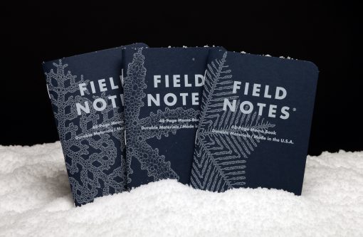 FIELD NOTES SNOWY EVENING