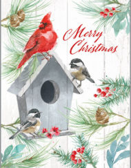 GINA B. DESIGNS CHRISTMAS CARDS WINTER BIRDS/HOUSE
