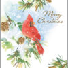 GINA B. DESIGNS CHRISTMAS CARDS WOODLAND CARDINAL