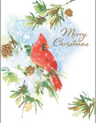 GINA B. DESIGNS CHRISTMAS CARDS WOODLAND CARDINAL